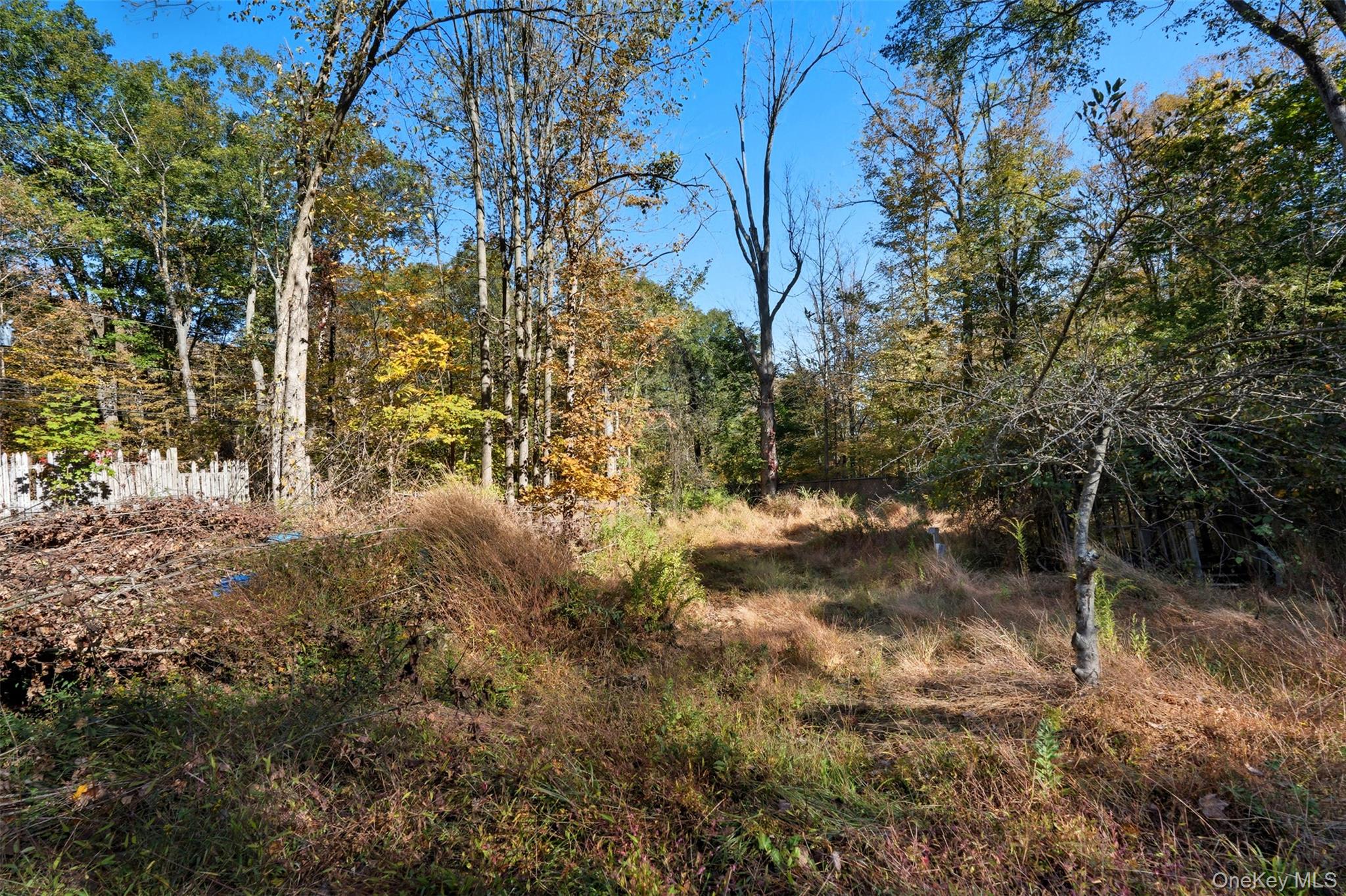 215 Old Rte 32 Highland Mills, NY 10930 - Photo 32 of 34 a view of forest