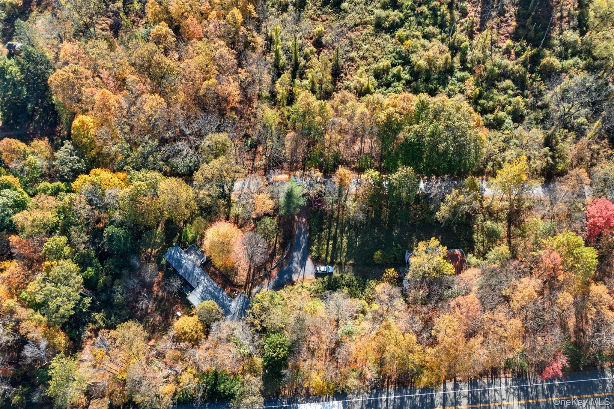 215 Old Rte 32 Highland Mills, NY 10930 - Photo 4 of 34 a view of a bunch of flowers and trees