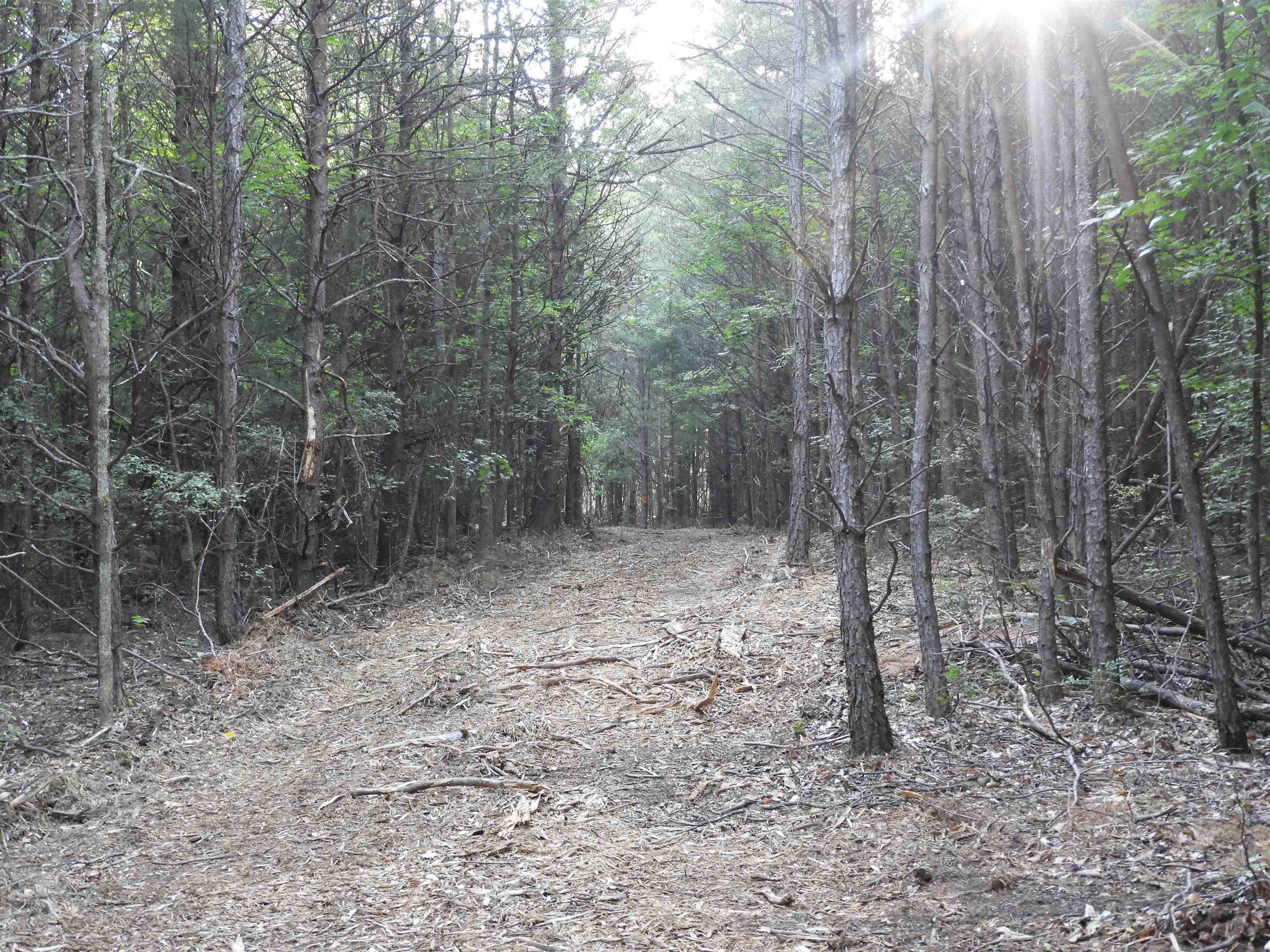 2109-tract D 2109-tract D Riddle Road Pauline, SC 29374 - Photo 36 of 42