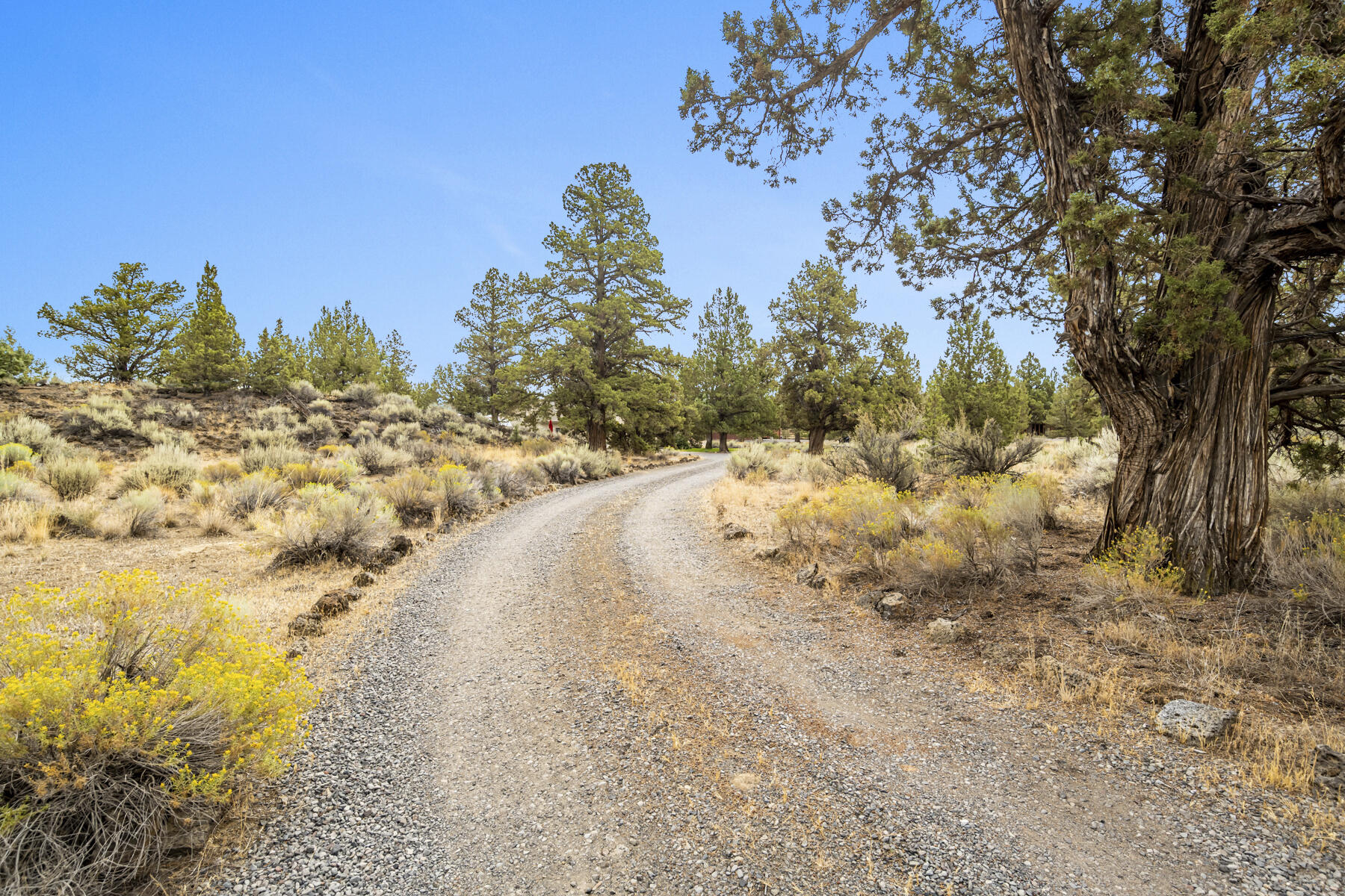 64666 McGrath Road Bend, OR 97701 - Photo 43 of 44 JH5_8779