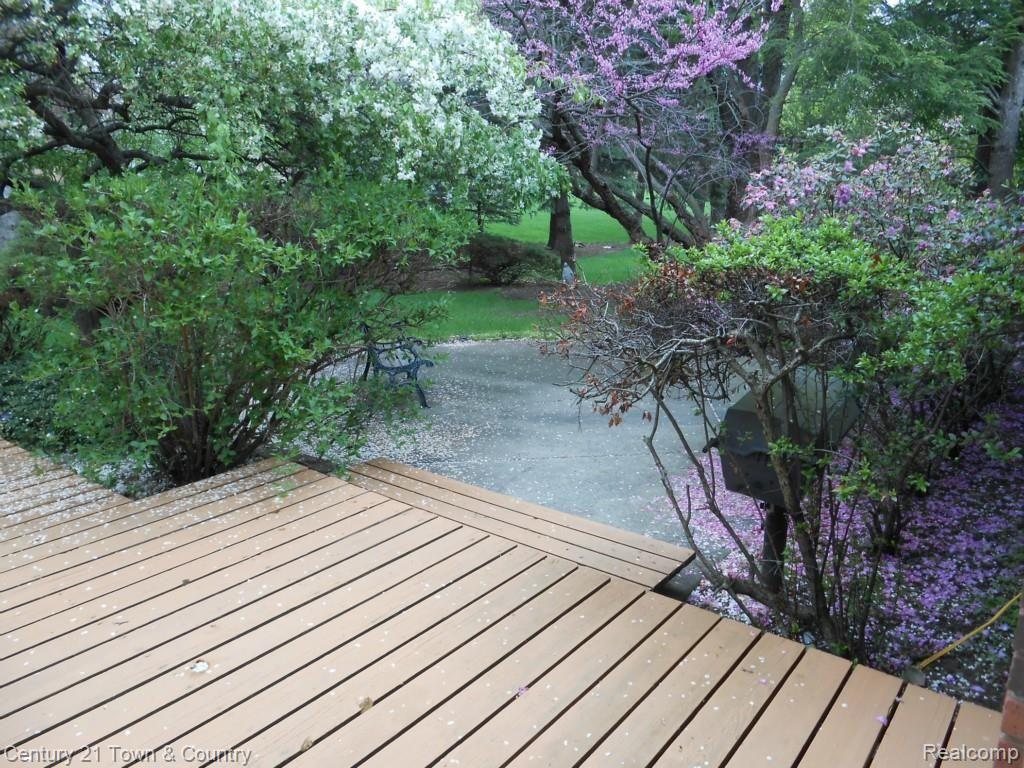2408 Chalet Drive Rochester, MI 48309 - Photo 46 of 49 Back Yard 2.jpg