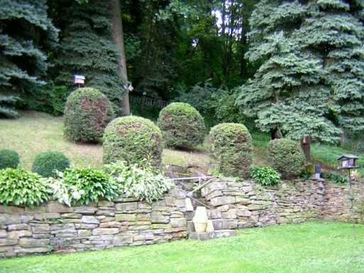 2423 Old Greentree Road Carnegie, PA 15106 - Photo 2 of 8 Yard/Garden.