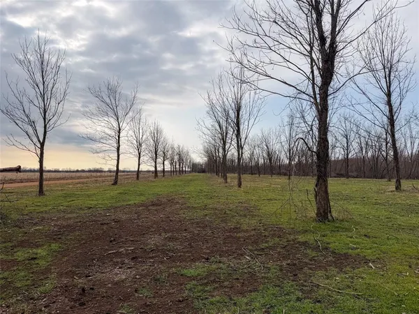 a bath room with a yard