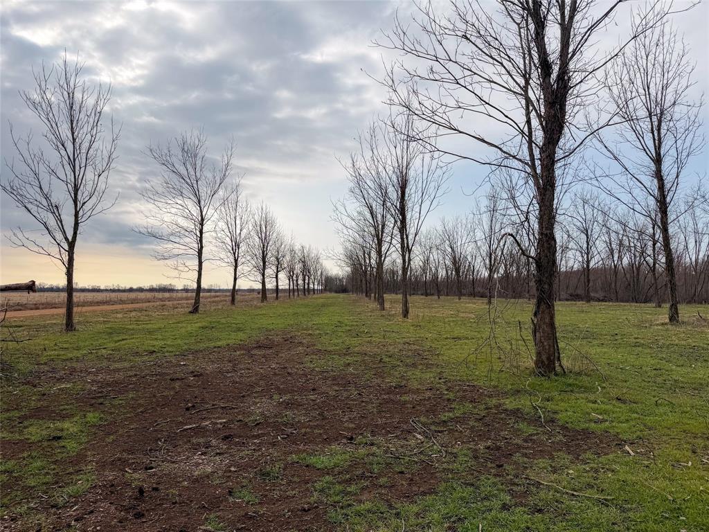Tbd Butler Pool Road Idabel, OK 74745 - Photo 6 of 14 a view of outdoor space with trees