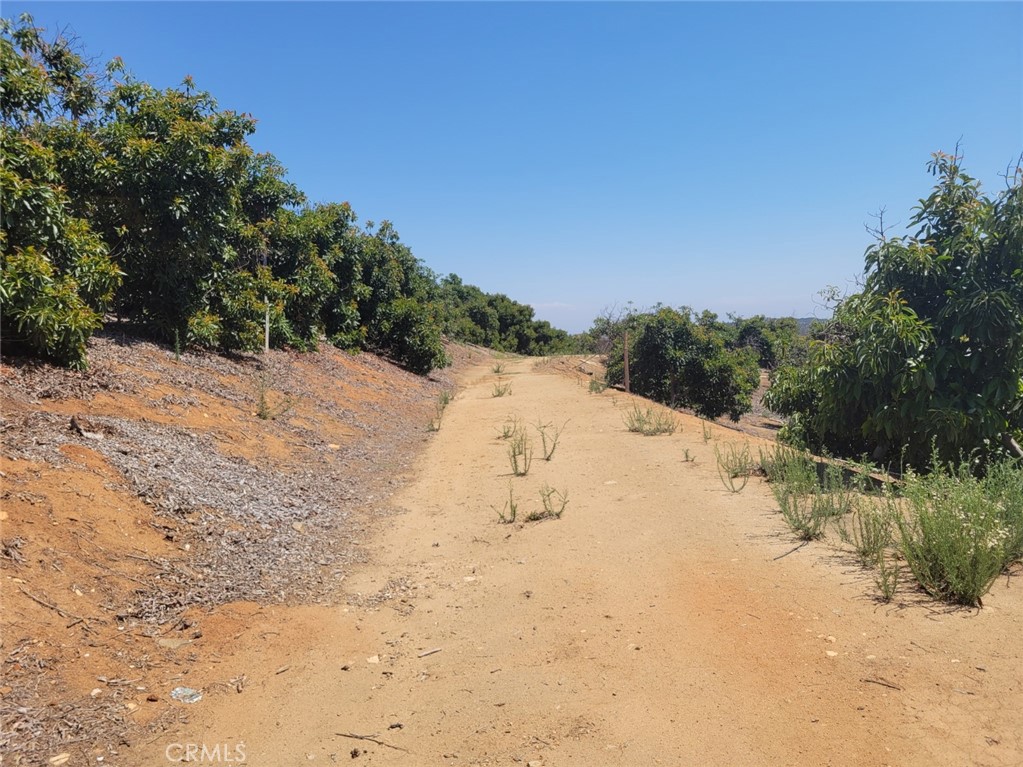 0 Los Gatos Road Temecula, CA 92590 - Photo 12 of 13 a view of a dry yard with trees