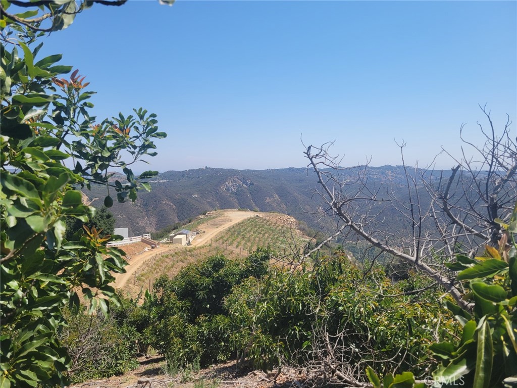 0 Los Gatos Road Temecula, CA 92590 - Photo 8 of 13 a view of a yard