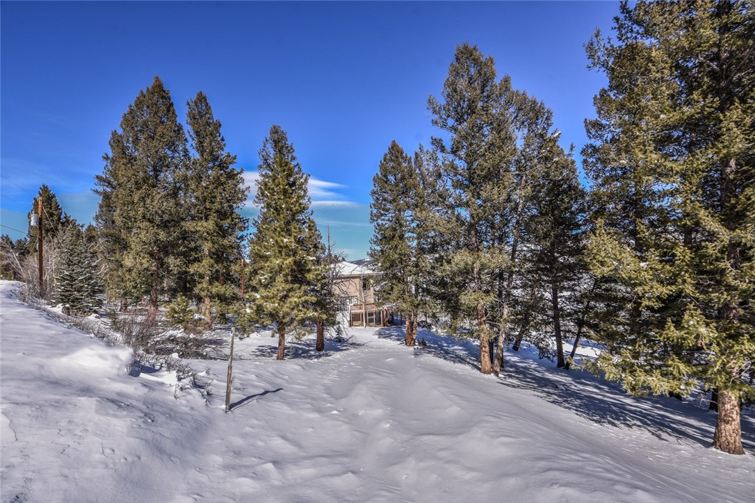 2446 Redhill Road Fairplay, CO 80440 - Photo 33 of 34 Gallery Image 33