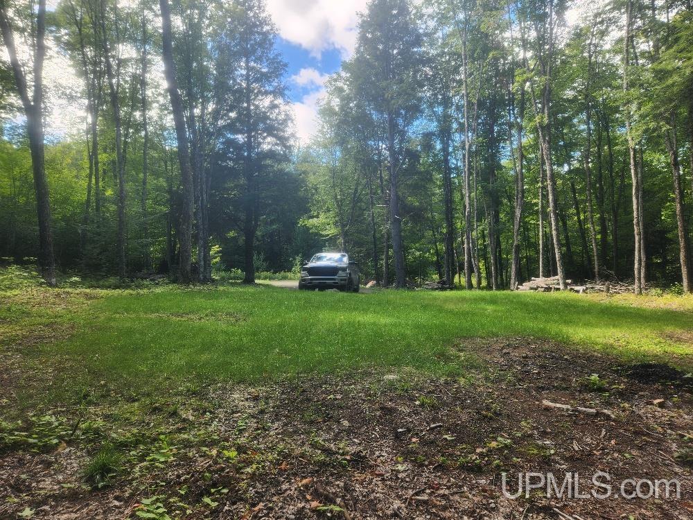 Tbd West Tamarack Lake Road, Unit LOT 5 Watersmeet, MI 49969 - Photo 58 of 66