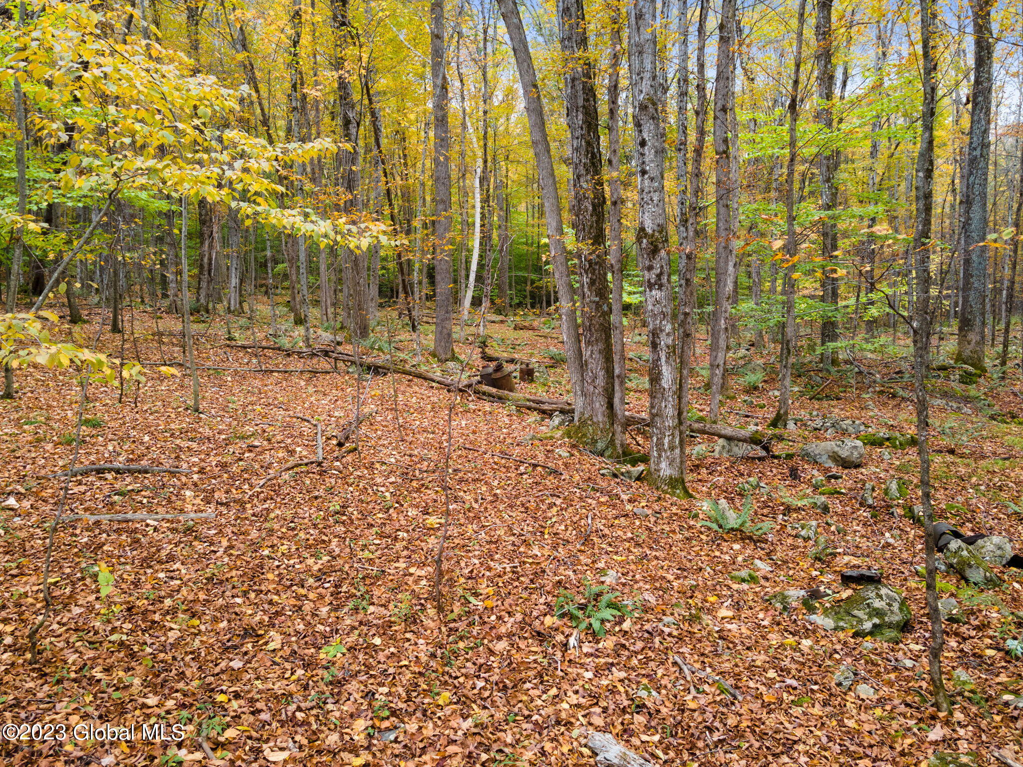 L22.13 Haner Road Gilboa, NY 12076 - Photo 3 of 12 12-web-or-mls-180HanerRd_12