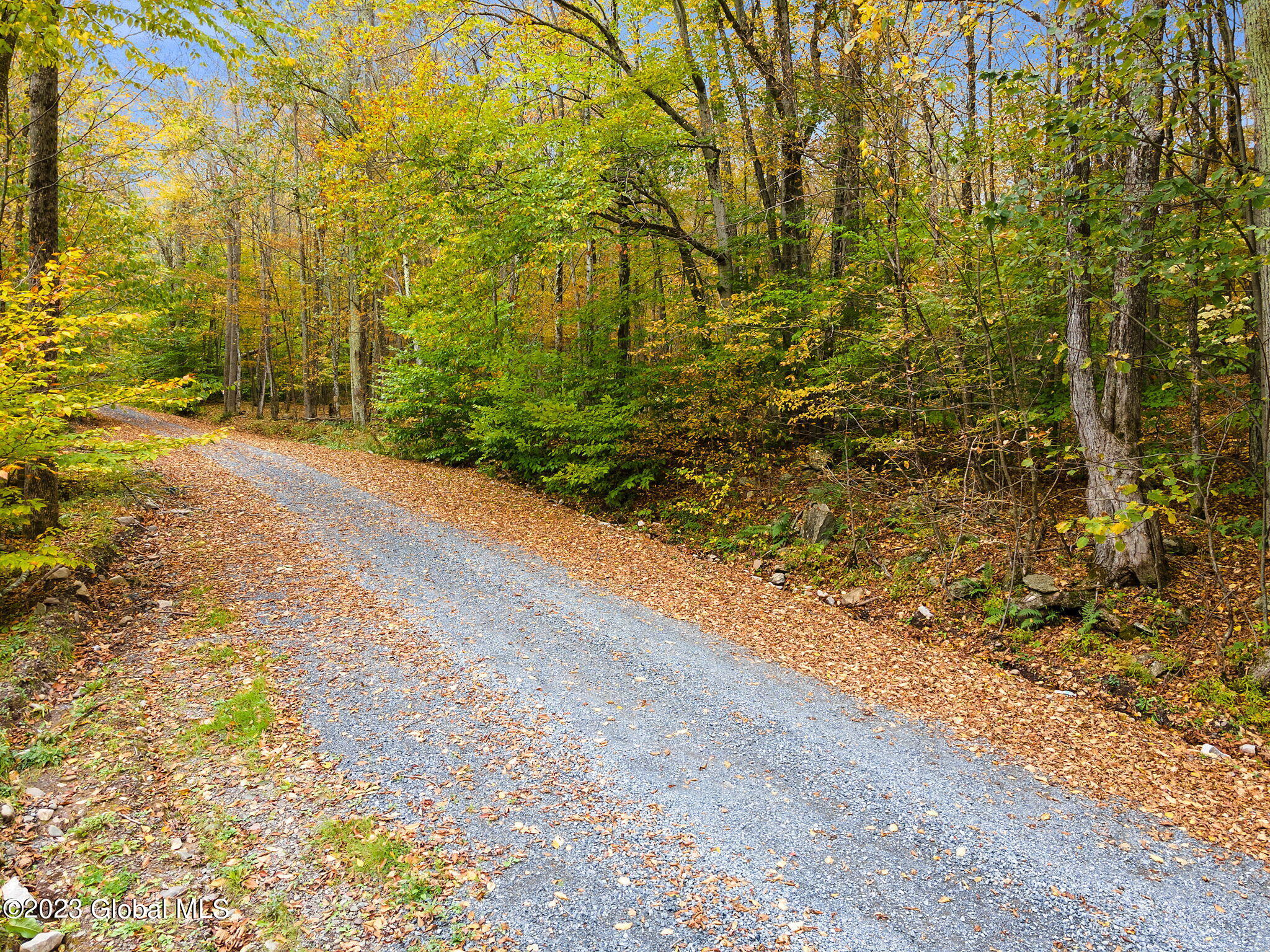 L22.13 Haner Road Gilboa, NY 12076 - Photo 4 of 12 3-web-or-mls-180HanerRd_03