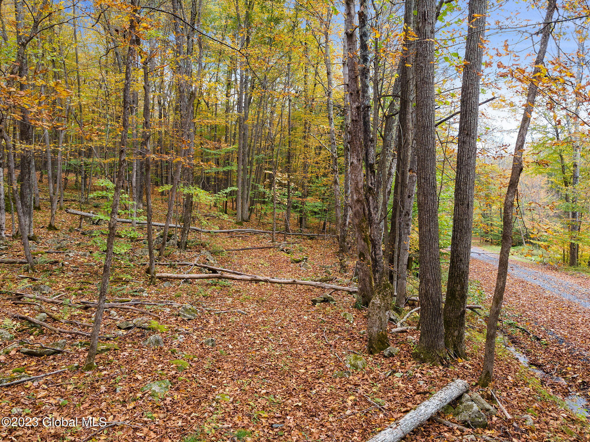 L22.13 Haner Road Gilboa, NY 12076 - Photo 5 of 12 13-web-or-mls-180HanerRd_13