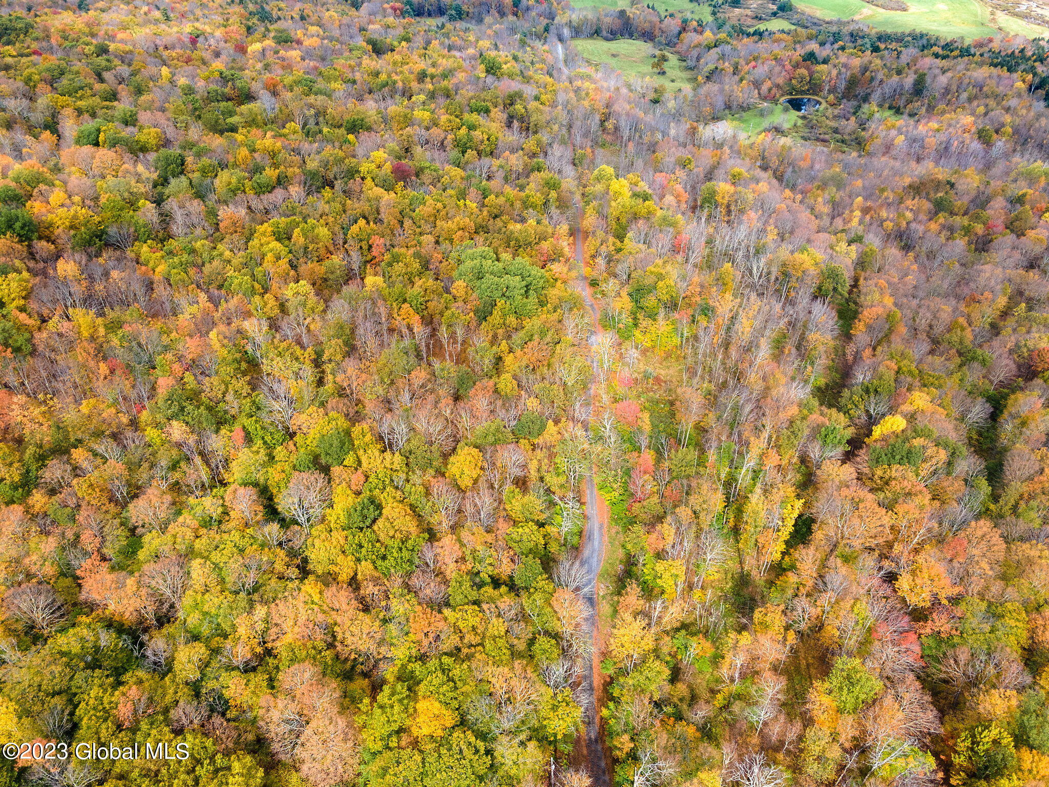 L22.13 Haner Road Gilboa, NY 12076 - Photo 8 of 12 6-web-or-mls-180HanerRd_06