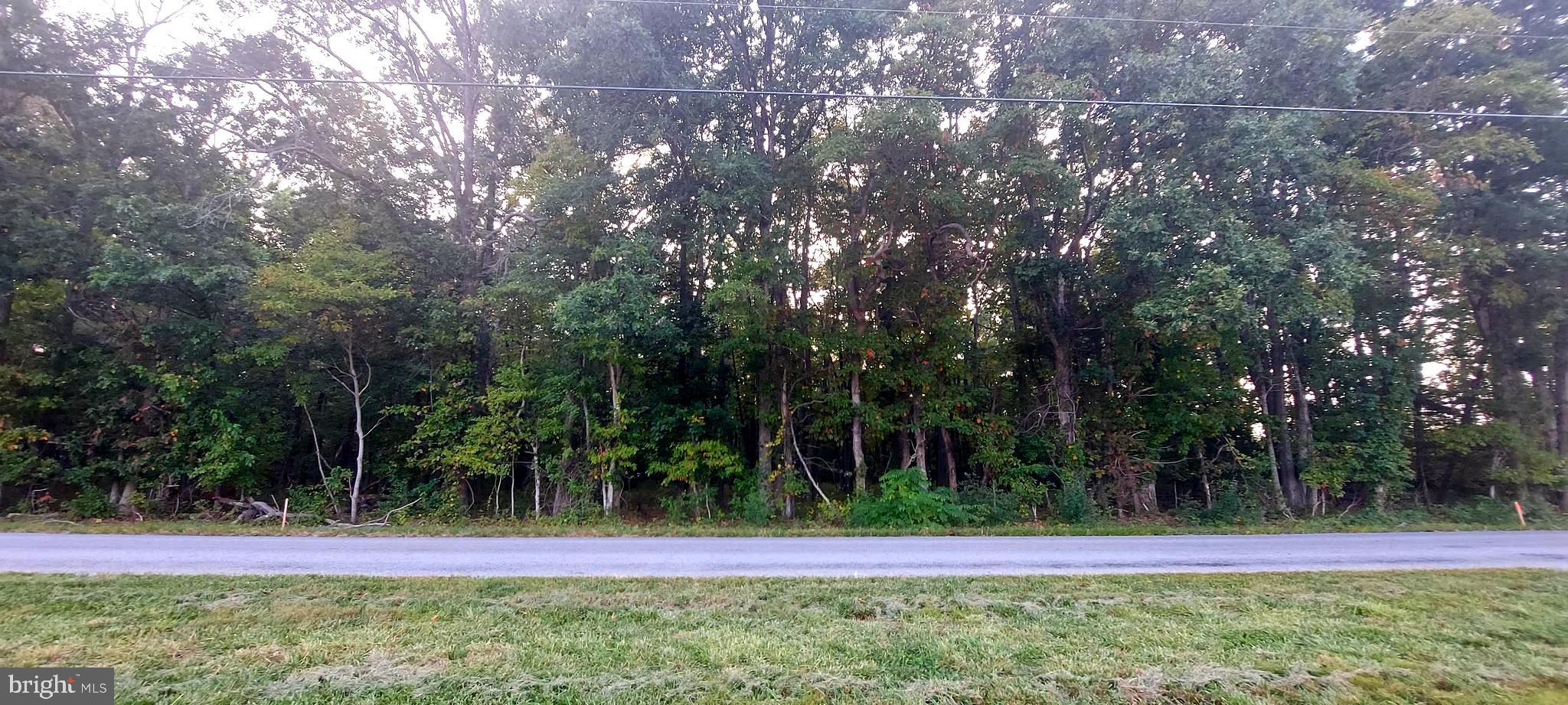 0 Lawrence Corner Road Pittsgrove, NJ 08318 - Photo 1 of 4 Gallery Image 1
