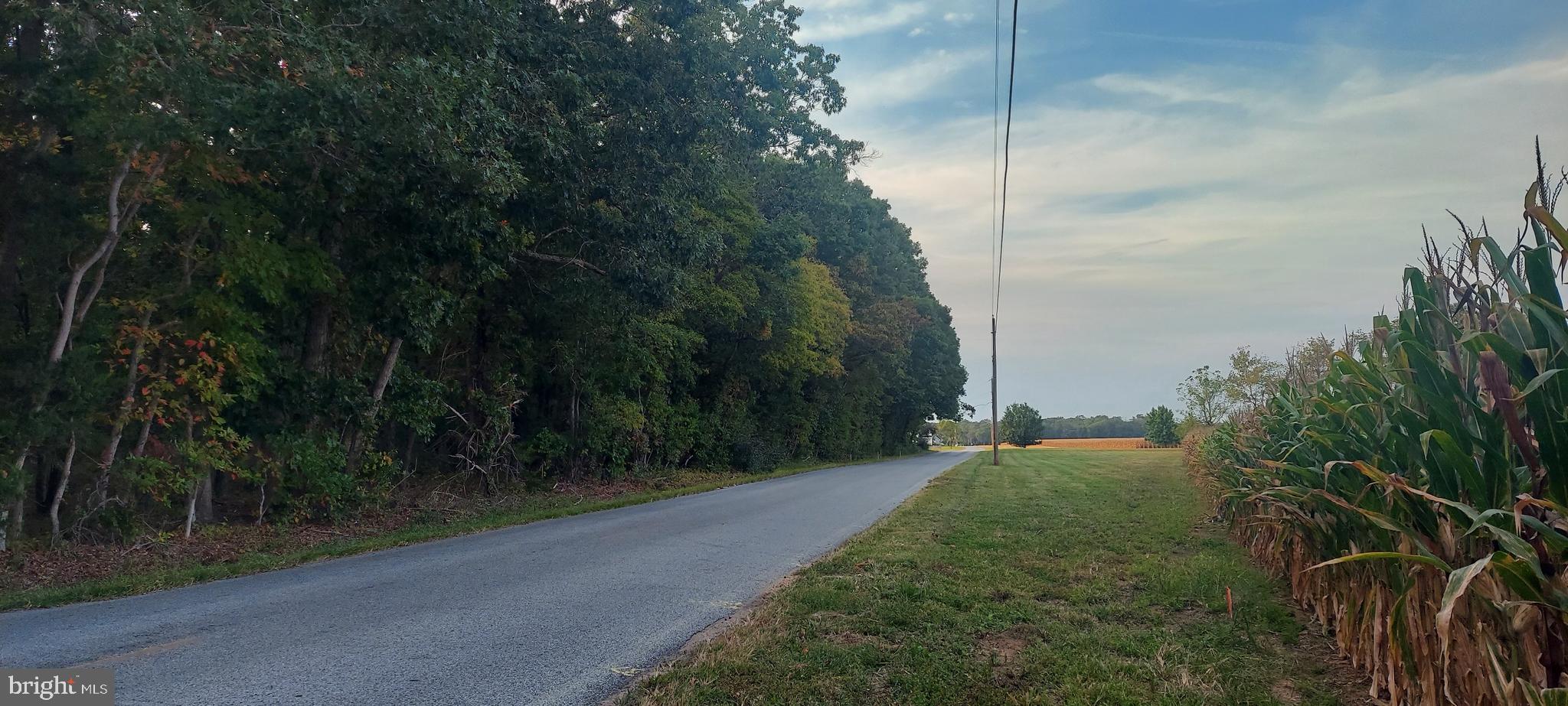 0 Lawrence Corner Road Pittsgrove, NJ 08318 - Photo 2 of 4 Gallery Image 2
