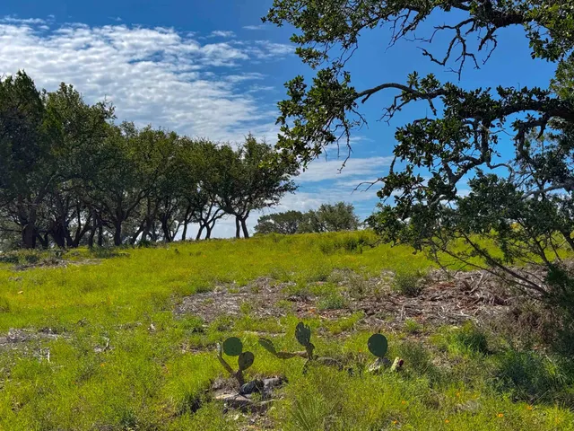 a view of yard with swimming pool