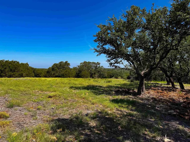a view of a field with an ocean