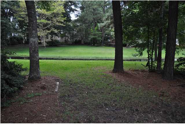 2765 Merwether Lane Mount Pleasant, SC 29466 - Photo 16 of 24 Additional Photo