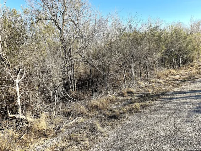 a view of a yard with a tree