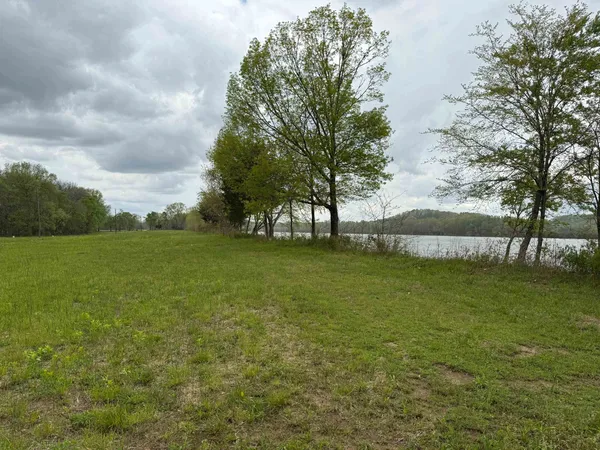 a view of green field with trees