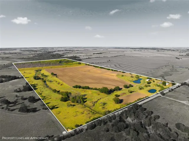 a view of an outdoor space