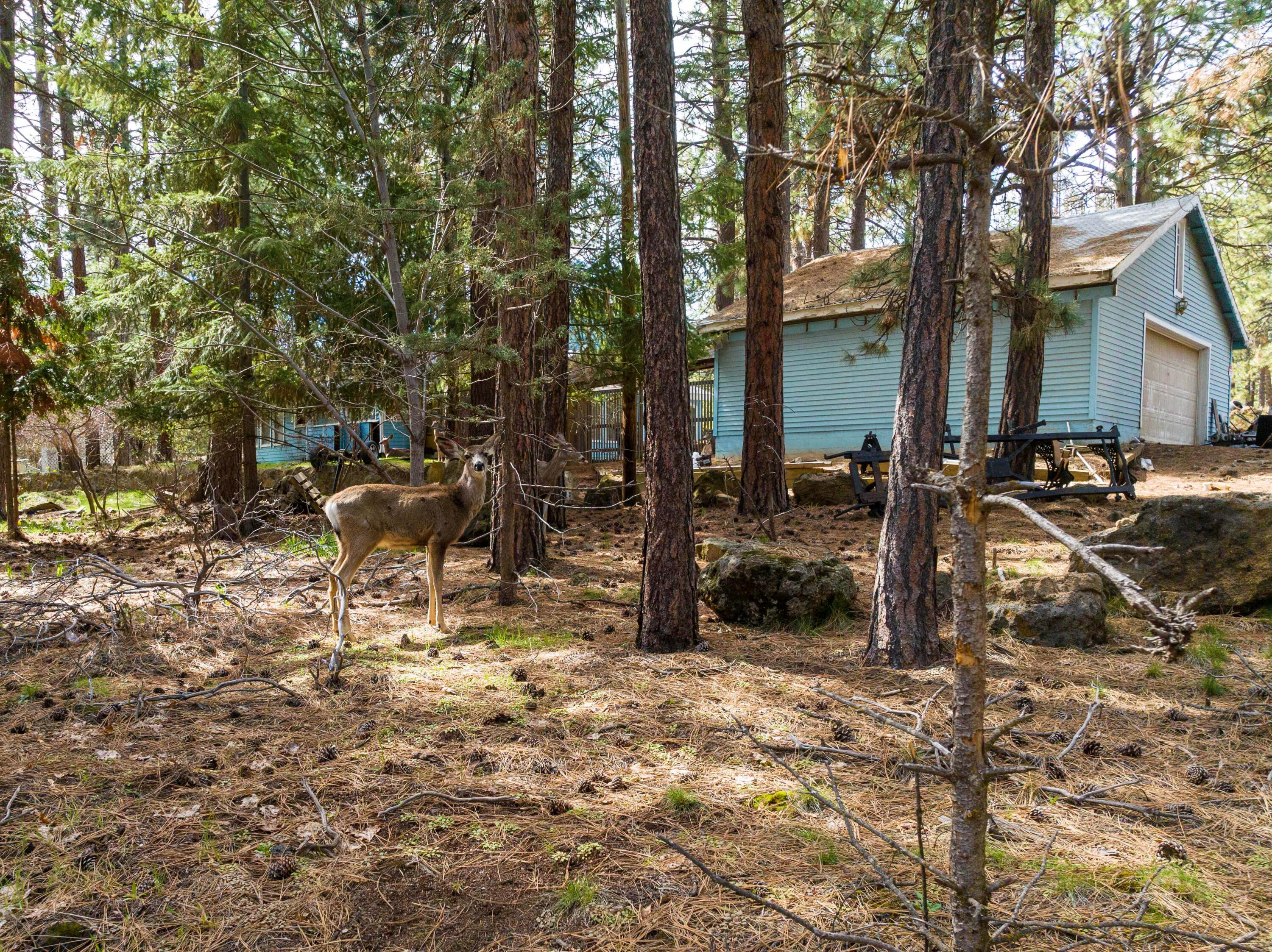 19077 Choctaw Road Bend, OR 97702 - Photo 5 of 14 Gallery Image 5