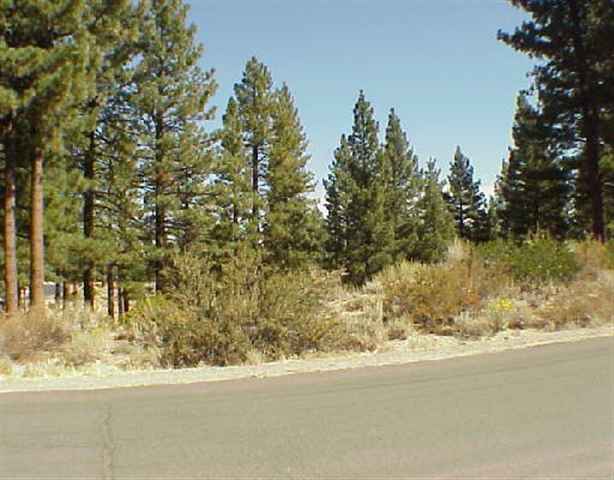 1305 Joy Lake Road Reno, NV 89511 - Photo 1 of 1 Gallery Image 1