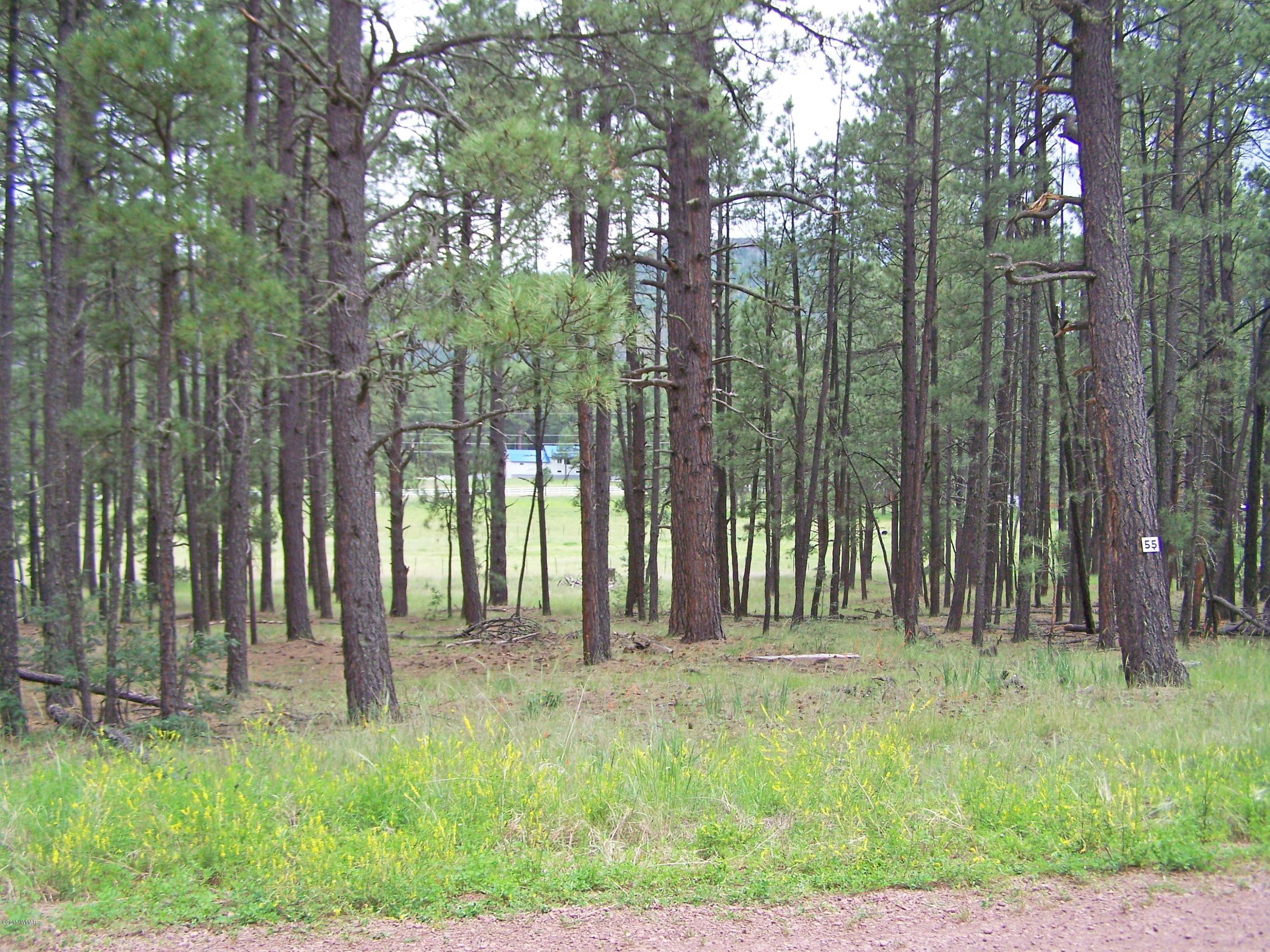 Lot 55 Alpine Estates Alpine, AZ 85920 - Photo 1 of 4