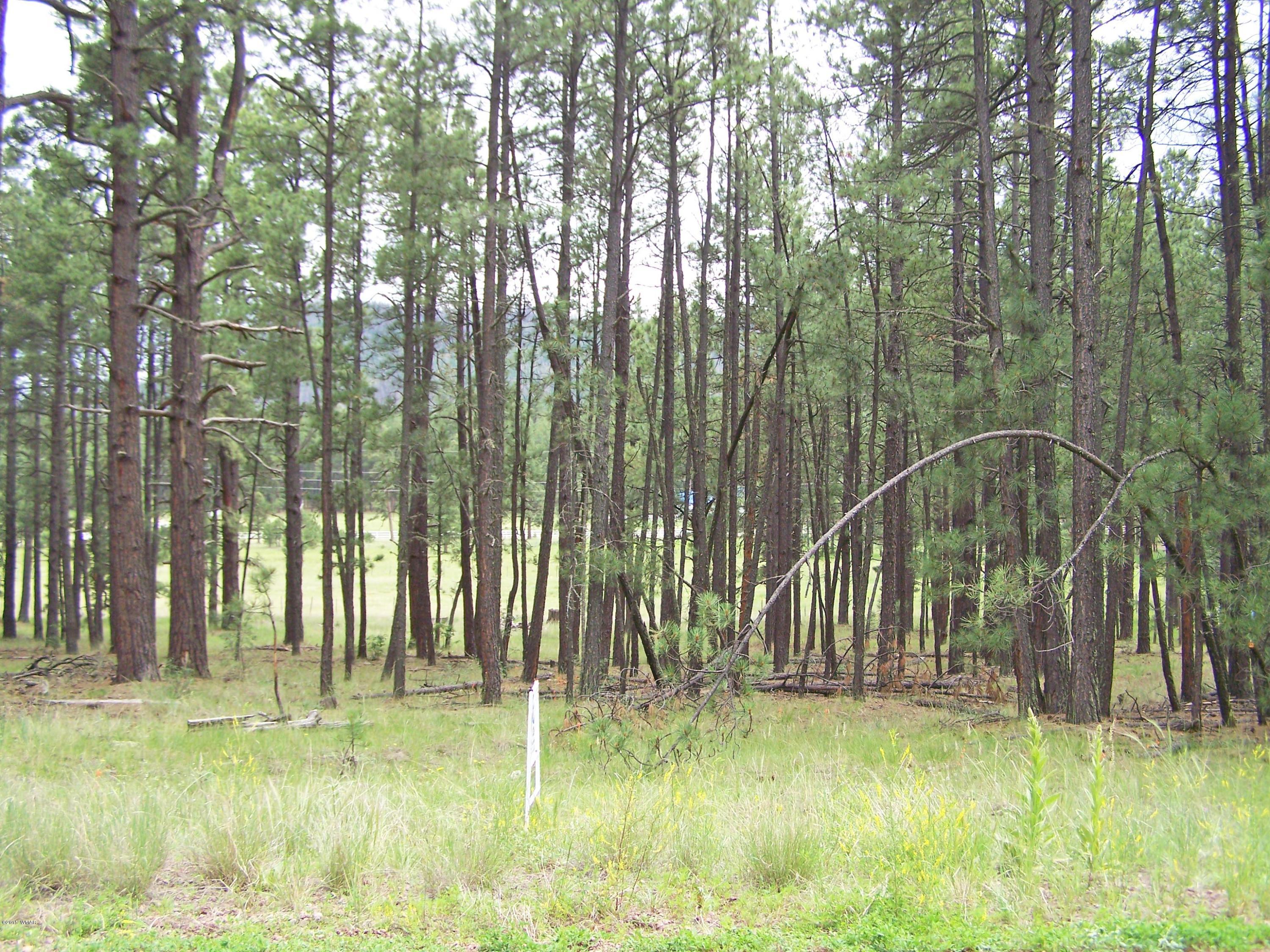Lot 55 Alpine Estates Alpine, AZ 85920 - Photo 2 of 4