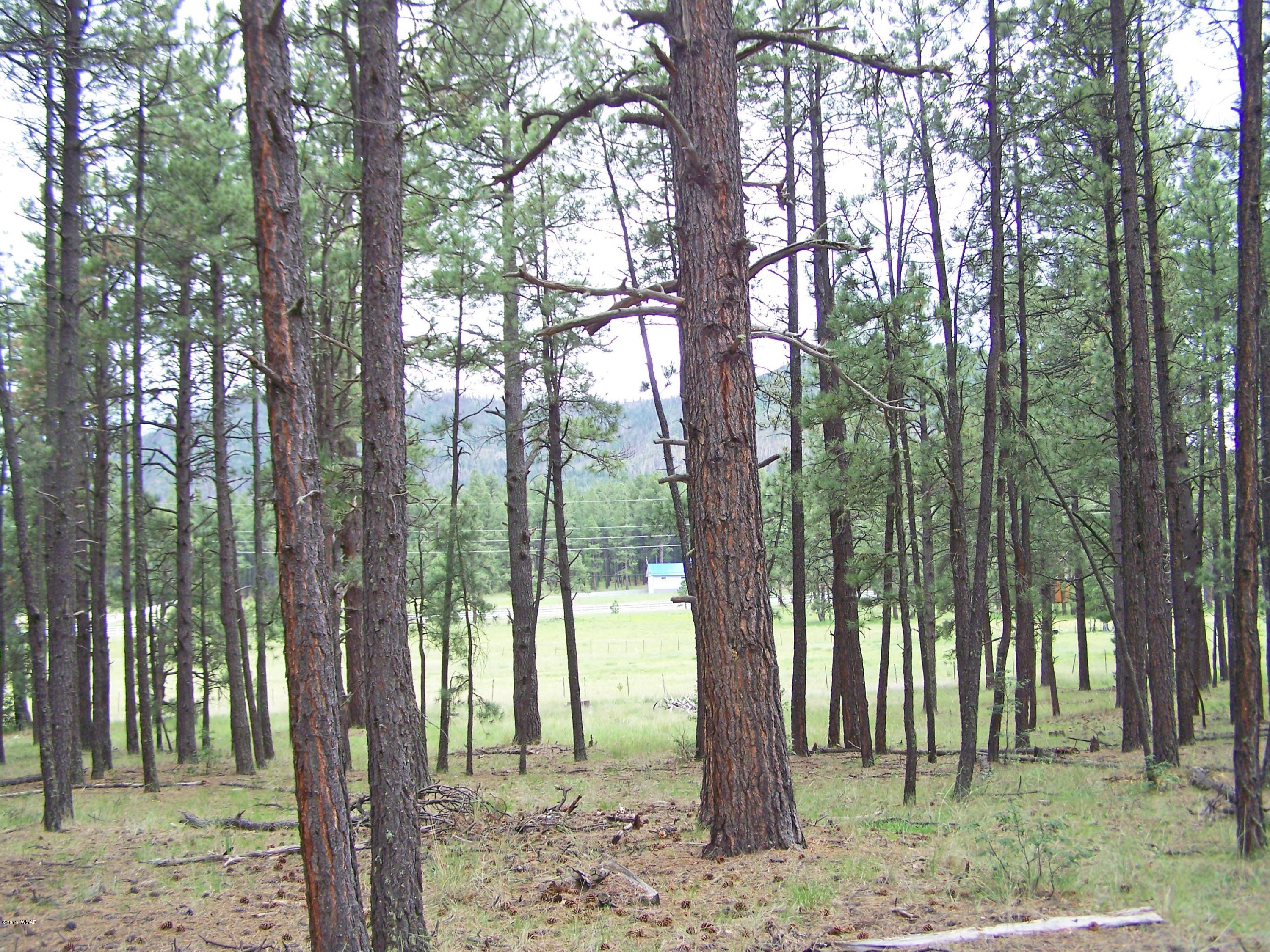 Lot 55 Alpine Estates Alpine, AZ 85920 - Photo 3 of 4