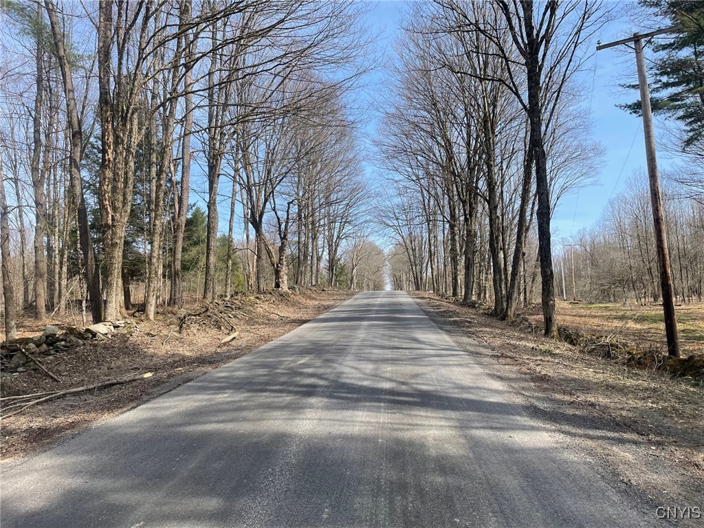 1031 Curtiss Road Camden, NY 13316 - Photo 1 of 12