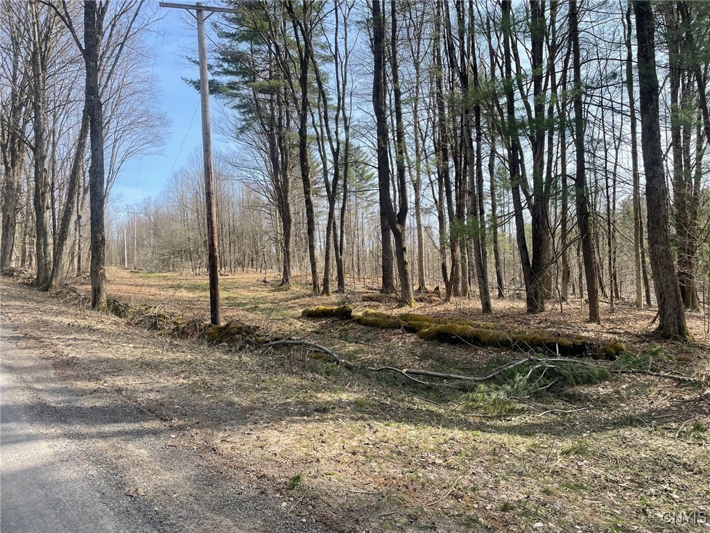 1031 Curtiss Road Camden, NY 13316 - Photo 11 of 12