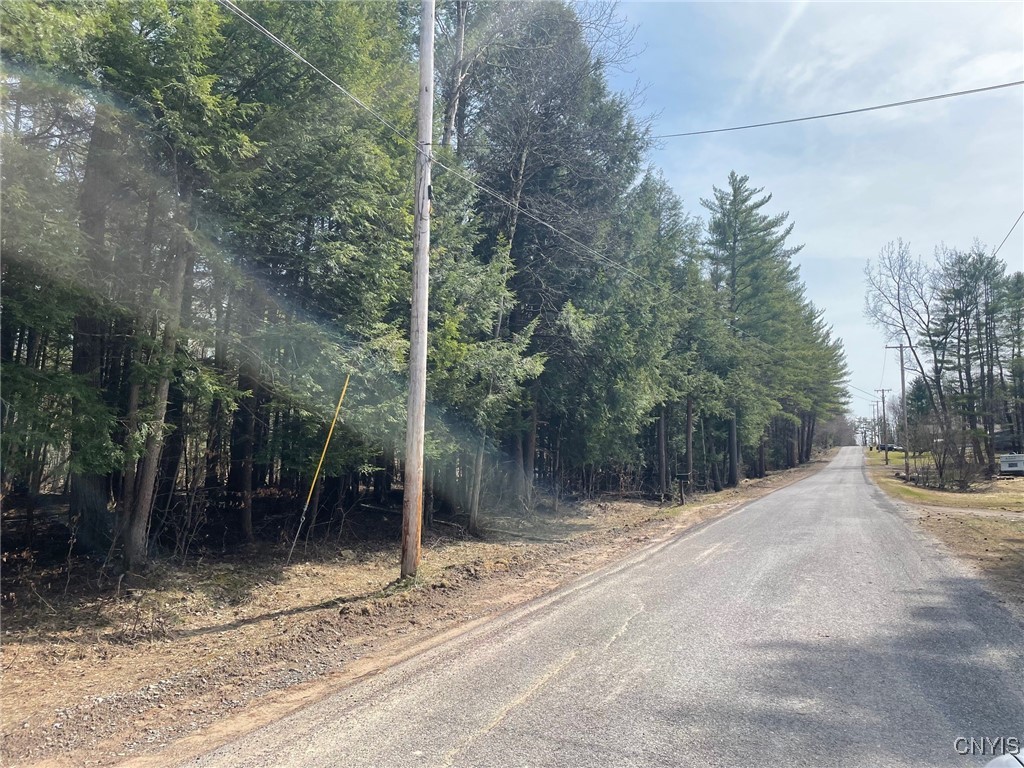1031 Curtiss Road Camden, NY 13316 - Photo 3 of 12
