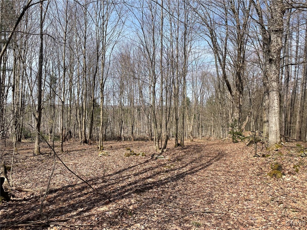 1031 Curtiss Road Camden, NY 13316 - Photo 4 of 12