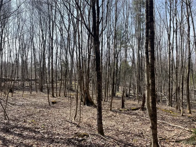 $92,900 | 1031 Curtiss Road, Camden, NY 13316