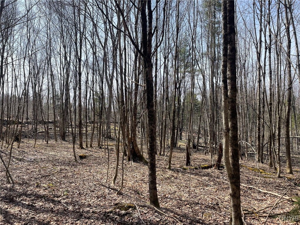 1031 Curtiss Road Camden, NY 13316 - Photo 5 of 12