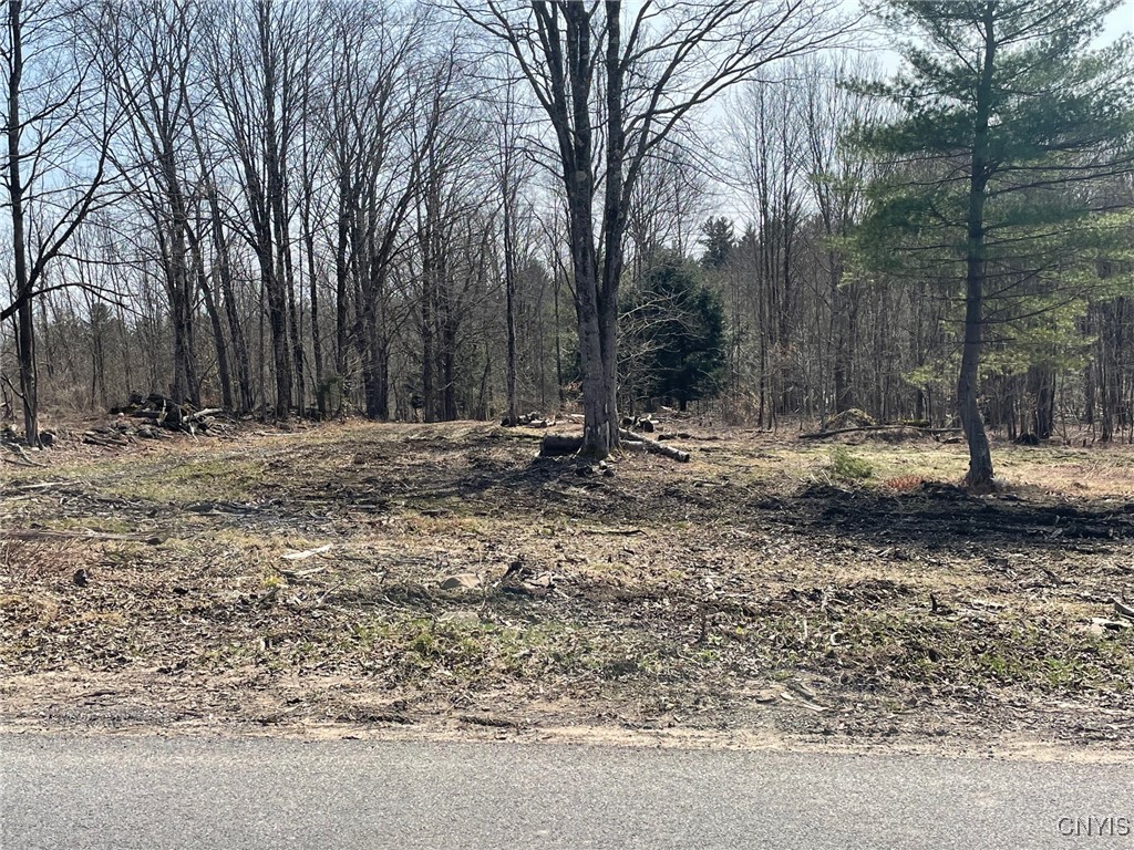 1031 Curtiss Road Camden, NY 13316 - Photo 6 of 12