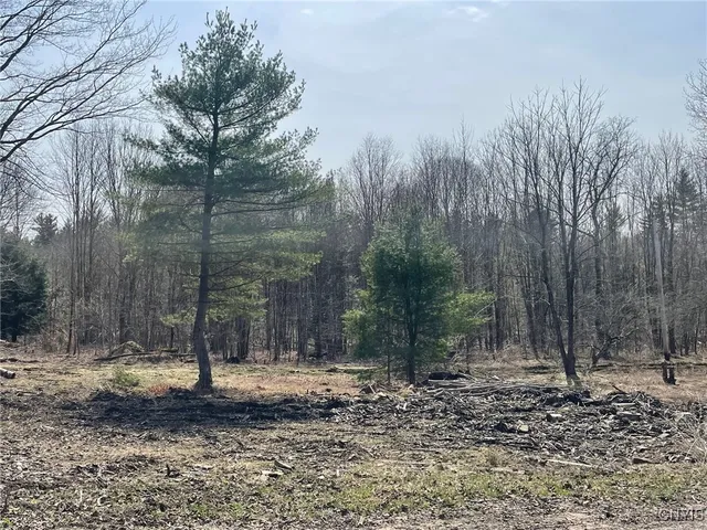 $92,900 | 1031 Curtiss Road, Camden, NY 13316