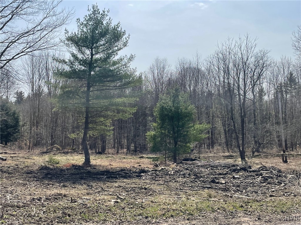 1031 Curtiss Road Camden, NY 13316 - Photo 7 of 12