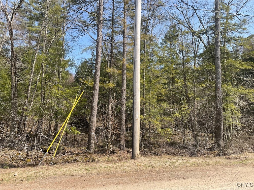 1031 Curtiss Road Camden, NY 13316 - Photo 8 of 12