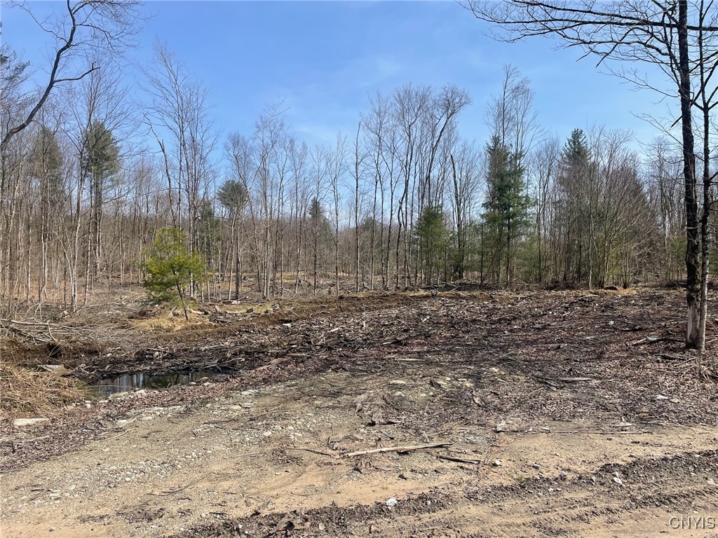 1031 Curtiss Road Camden, NY 13316 - Photo 9 of 12