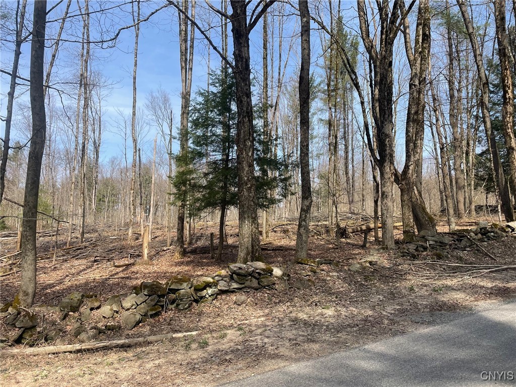 1031 Curtiss Road Camden, NY 13316 - Photo 10 of 12