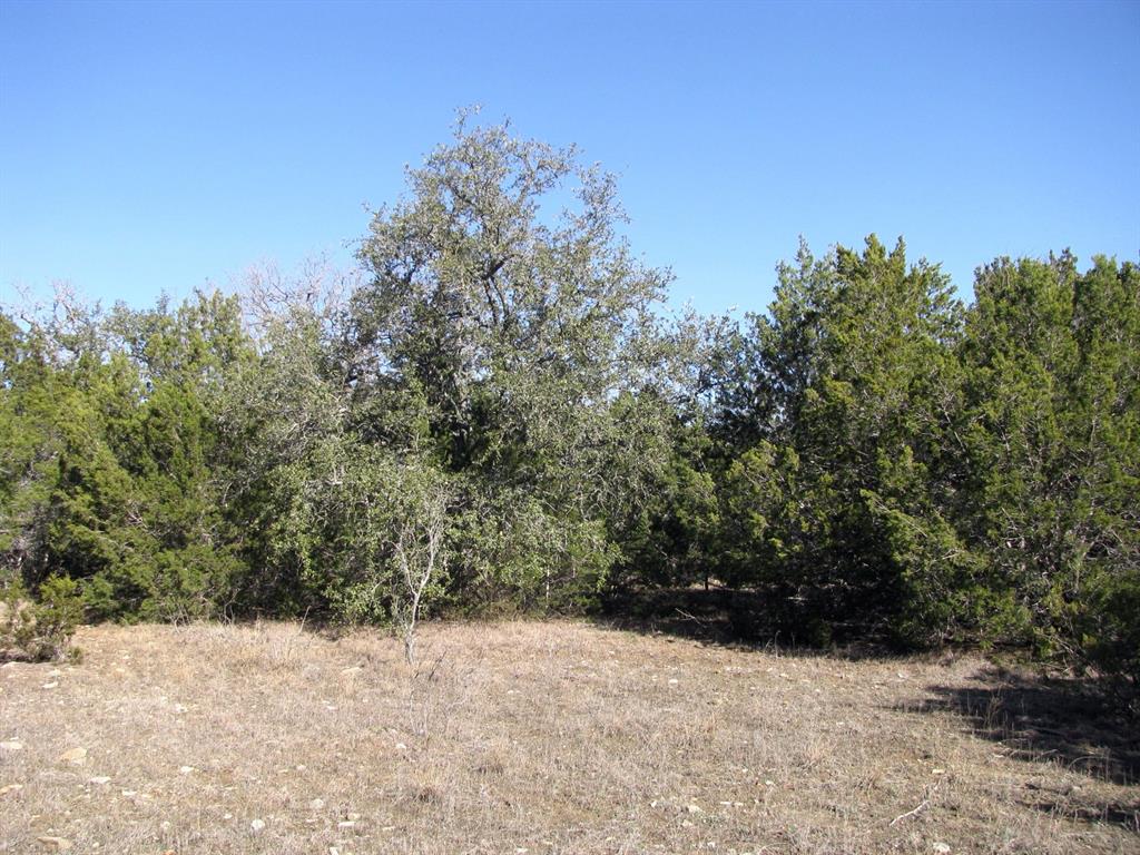 Lot 3-ph County Road 421 Evant, TX 76525 - Photo 15 of 27