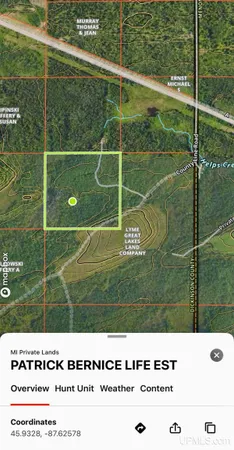 $75,000 | Tbd County Line Road, Foster City, MI 49834