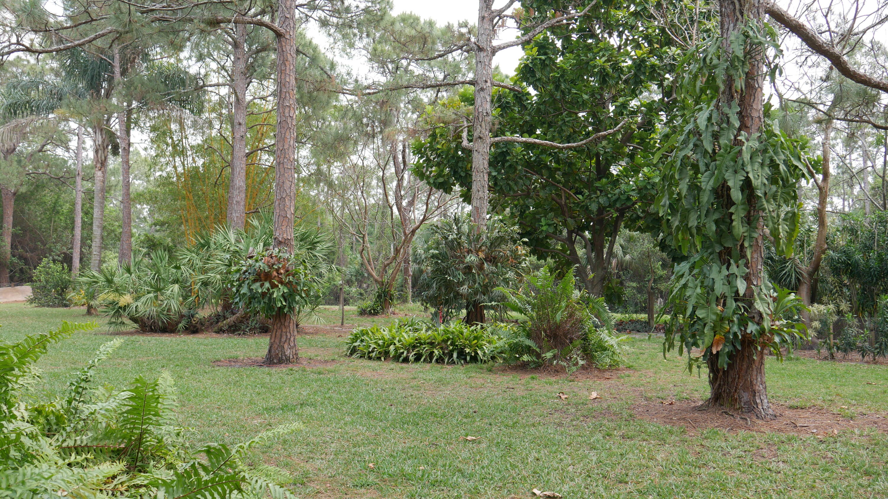 13154 165th Road North Jupiter, FL 33478 - Photo 5 of 25 Backyard (2)