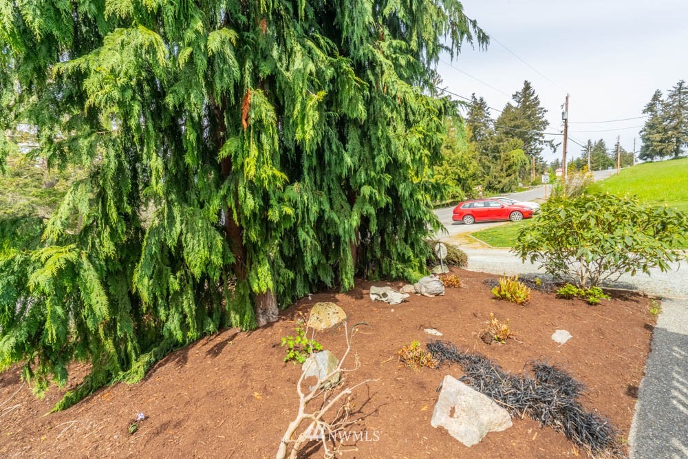11481 Walker Road Mount Vernon, WA 98273 - Photo 38 of 38 a view of a pathway with a park