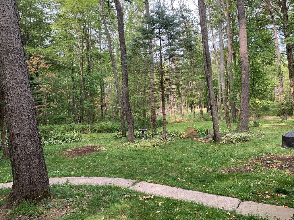 41910 Mageetown Road Centerville, PA 16404 - Photo 26 of 31 Gallery Image 26