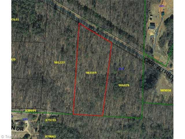10 Carl Allred Road Randleman, NC 27317 - Photo 1 of 1 Aerial View.