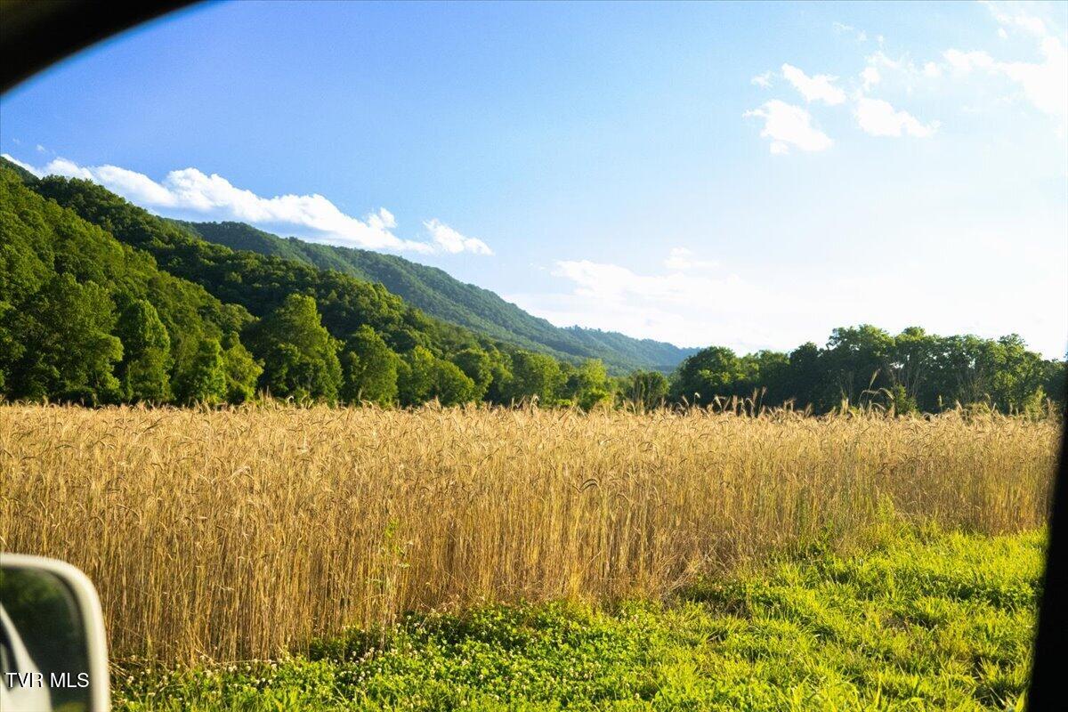 490 Mountain Springs Road Tannersville, VA 24377 - Photo 26 of 48 54-128A0326