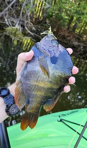 a group of people sitting in front of a store