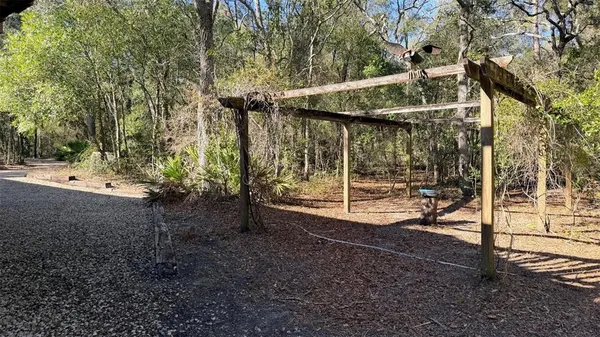 a view of a garden with plants and trees